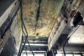 Mold Removal for HVAC Installations in Jerome, IL